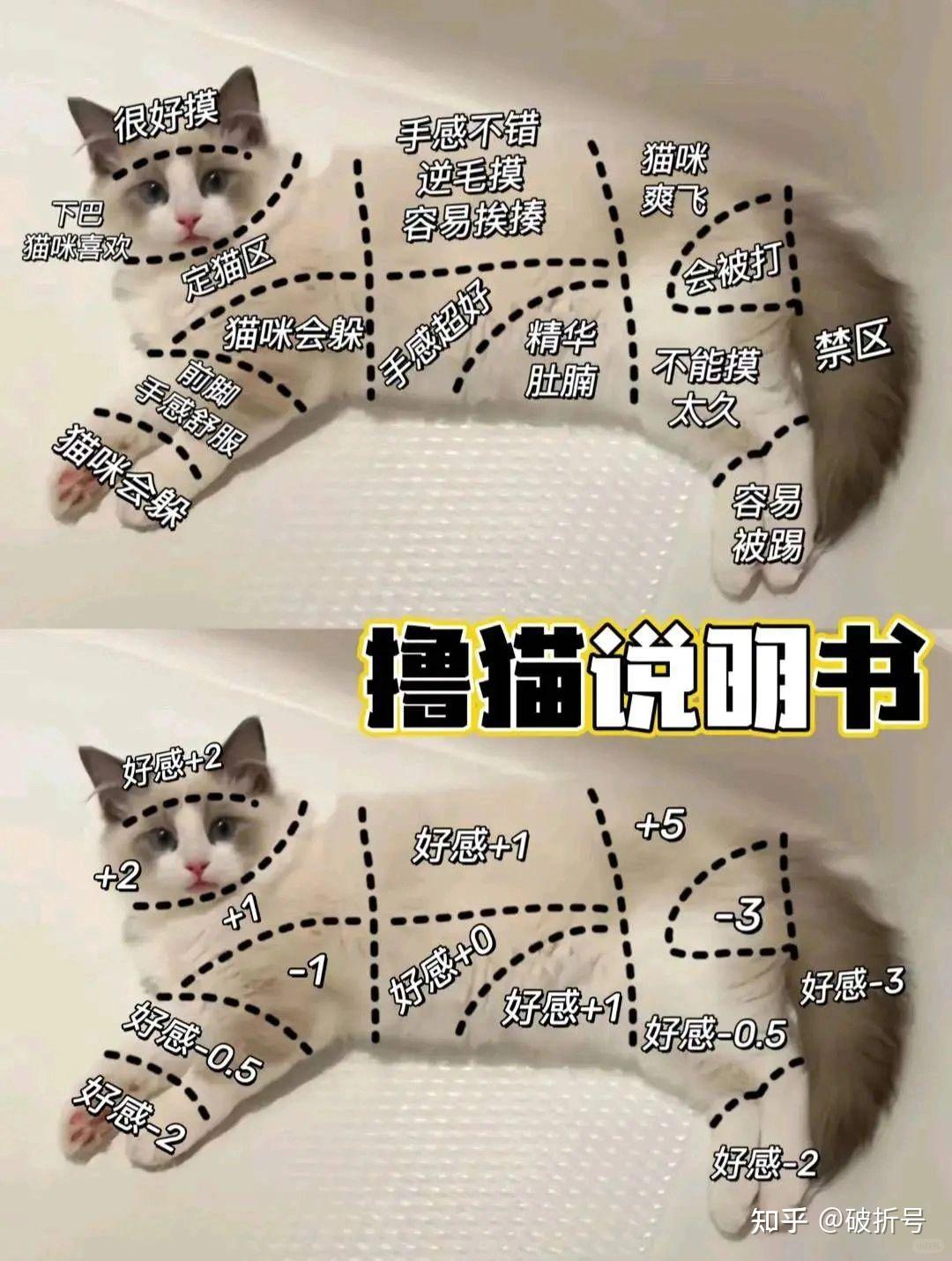 为什么射完精后第二天会显得比较年轻呢?百科在线