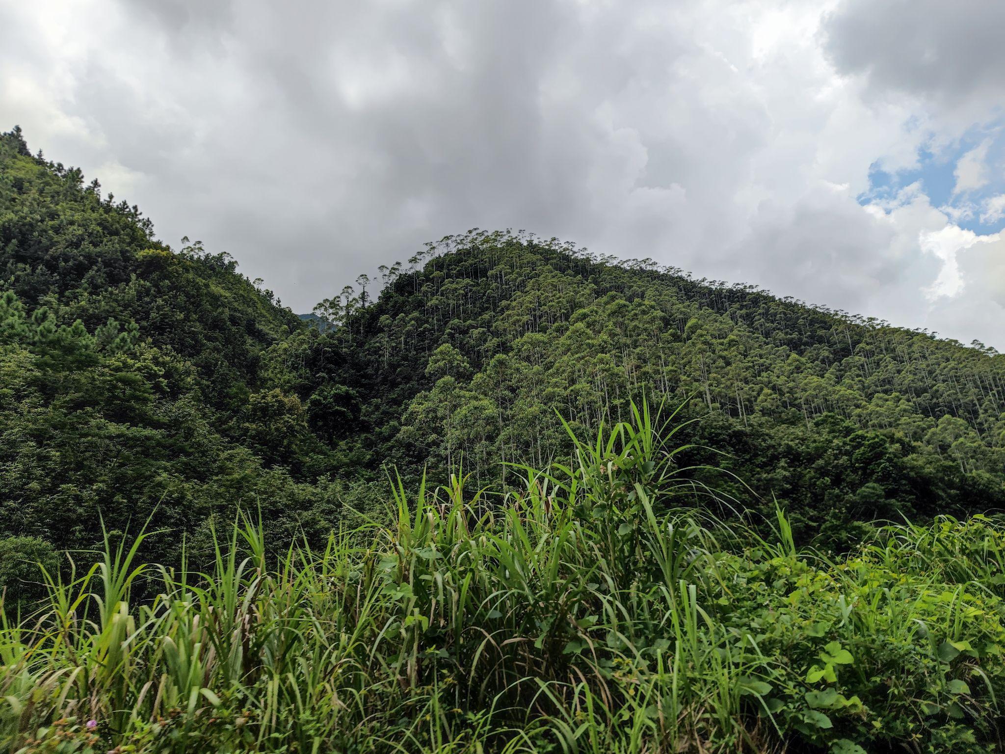 粤东莲花山图片