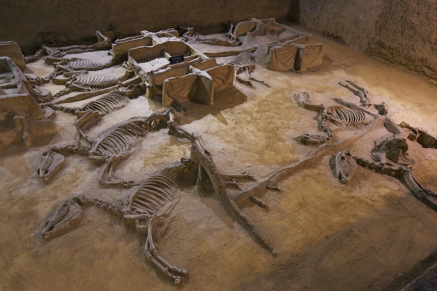 为什么四大古都西安有这么多古墓? - 知乎