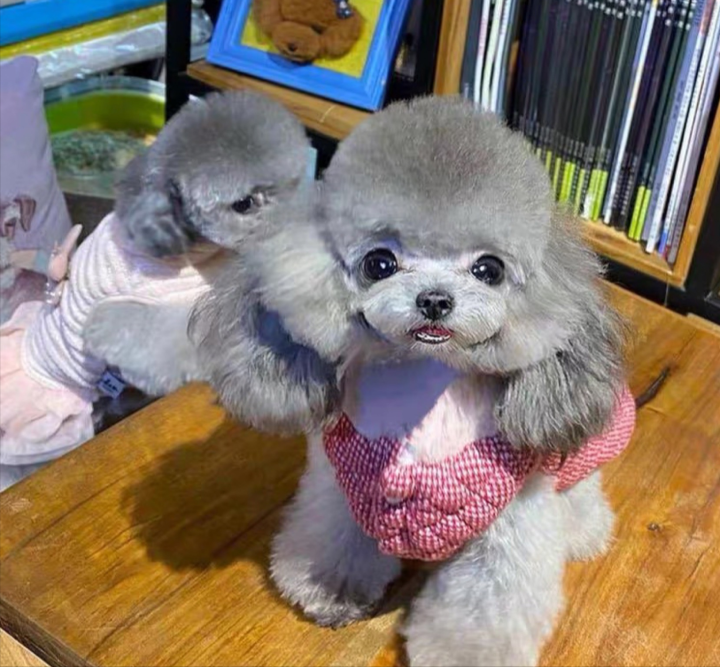 v2-23247a79b44d14484a089af7f871a3c5_1440w.jpg?source=172ae18b