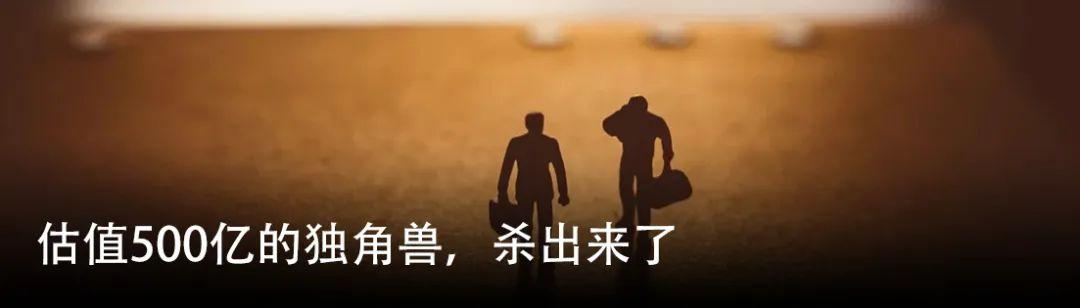 读懂何愚,黑蚁资本的快动作与慢思考 - 知乎