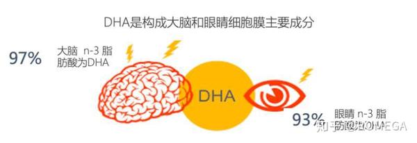 是谁在“阻碍”你的眼睛吸收营养？ - 知乎