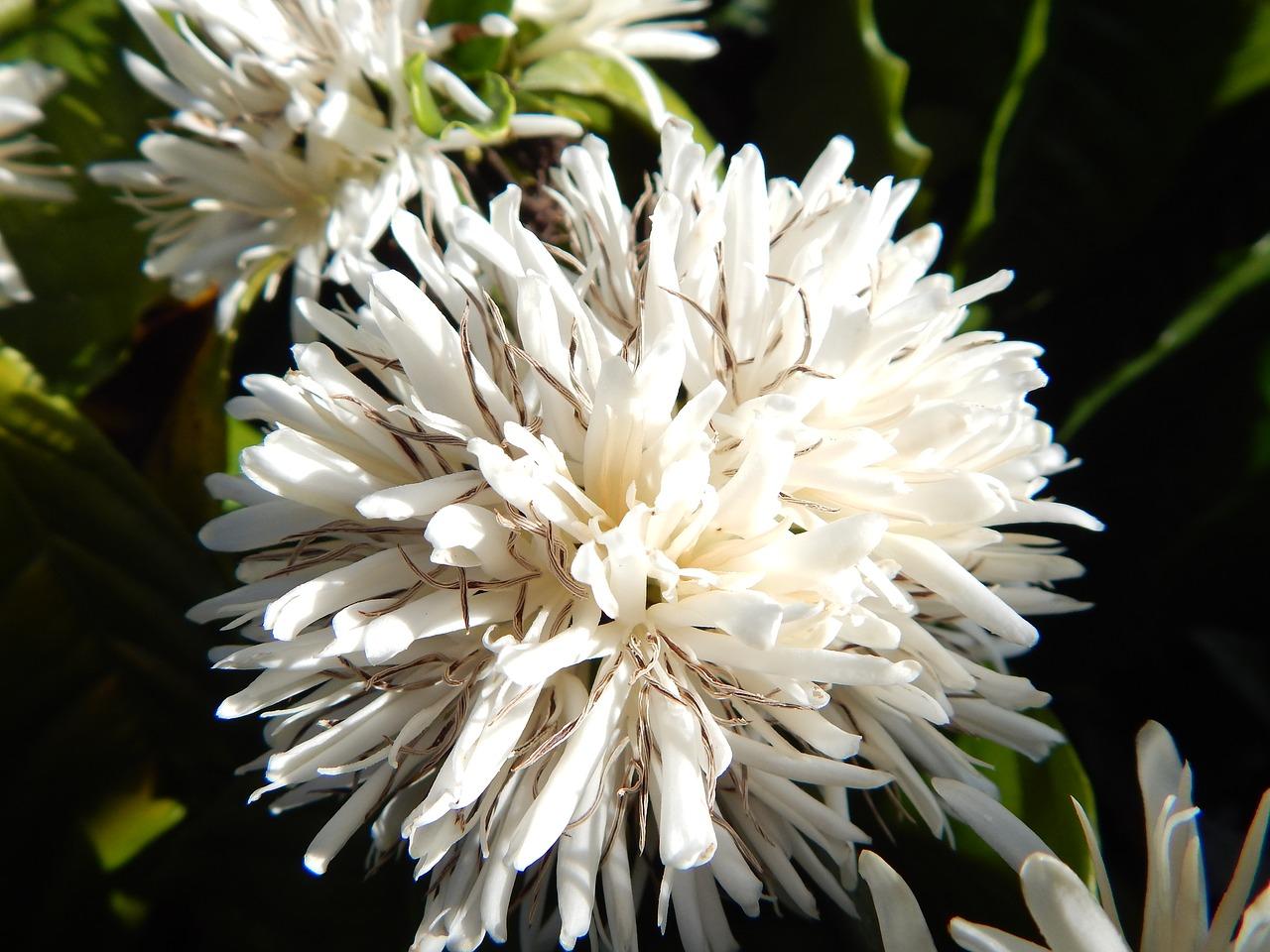 4. 亩均收益分析