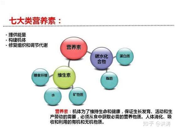 人口是构成市场的基础_构成基础