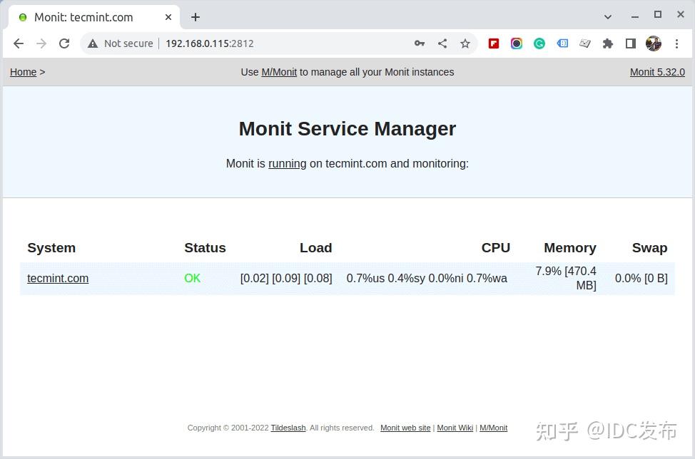 monit client status example
