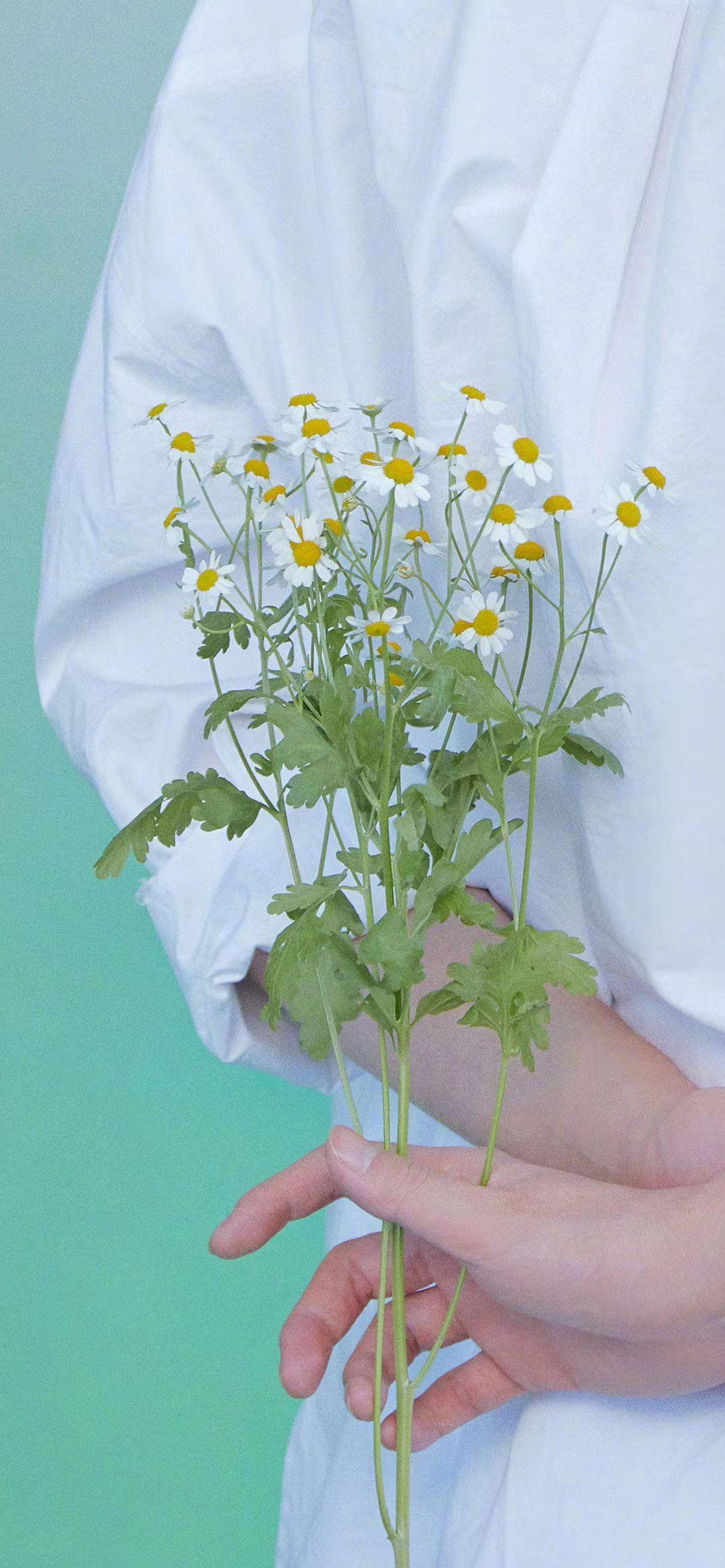 有哪些好看的全面屏手机壁纸或微信聊天背景图片? - 知乎