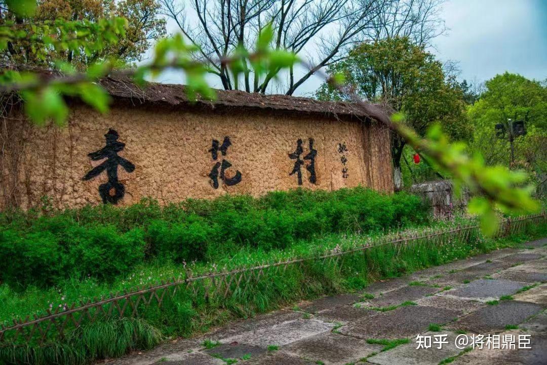 【社招】中伦（上海）律师事务所 - 知乎