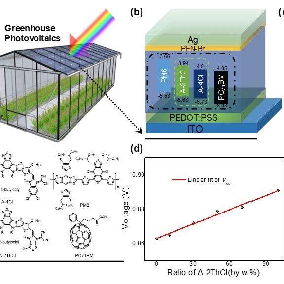 大學有機半導體實驗室joule研製環境友好的高性能聚合物溫室光伏電池