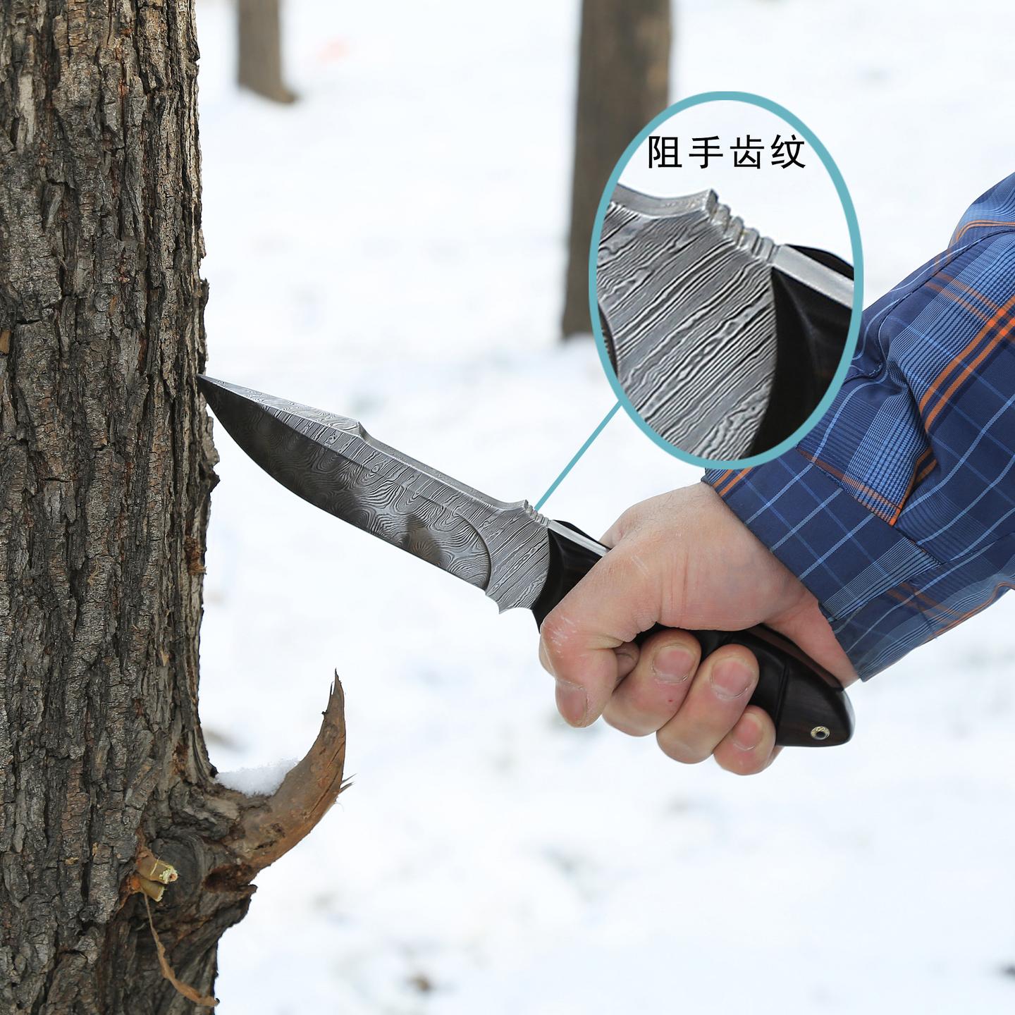 大马士革刀各部位解剖 标示得非常清晰 知乎