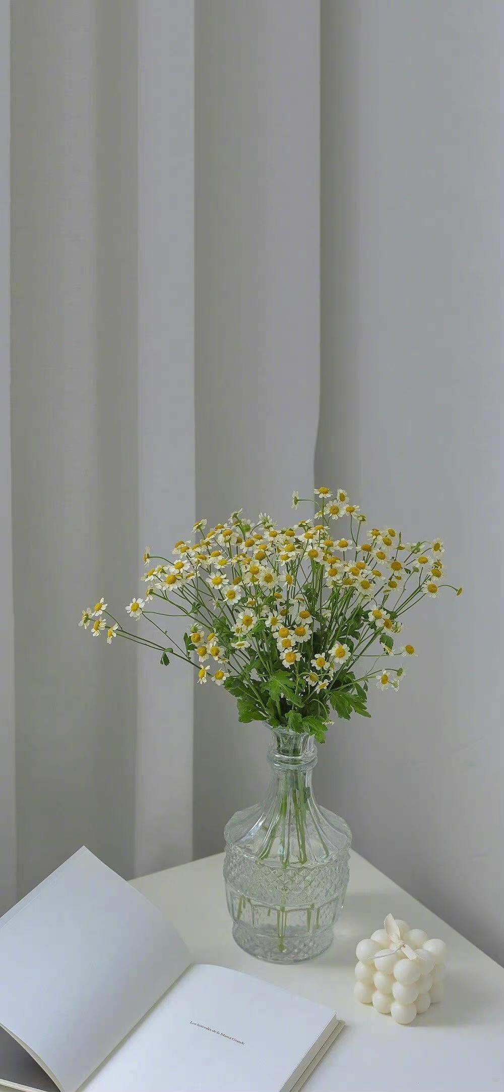 有没有这样关于玫瑰花的微信背景图或者有意境的文字背景图? - 知乎