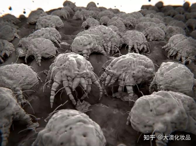 arthurpenfold)研究发现,茶树精油是一种具强力杀菌除螨效果的天然