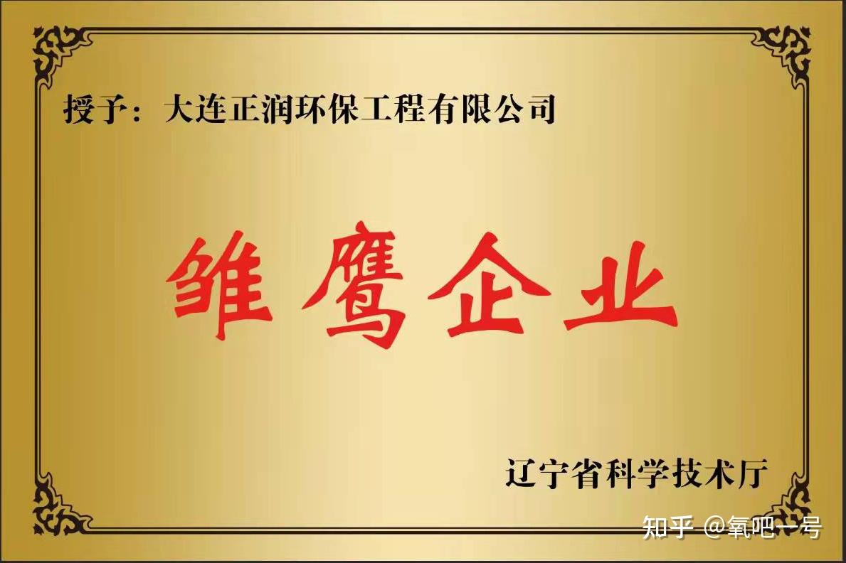 大连正润环保工程有限公司(以下简称"正润环保)科技型环保类企业