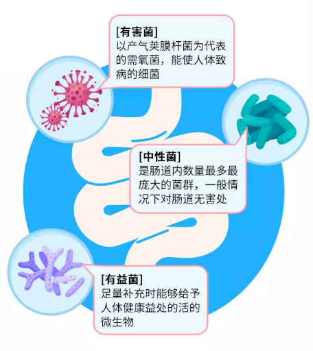 肠道不健康的6大表现，你占了几样？ 知乎 3091