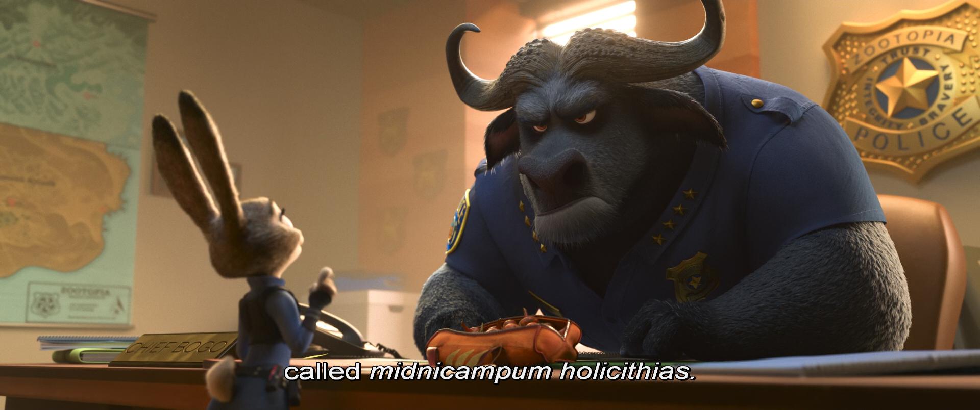 重看Zootopia - 知乎