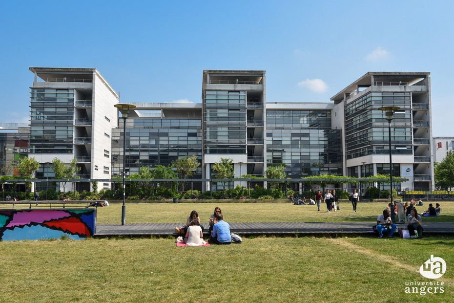 而排名第十的南特大学则是iut注册学生人数最多的,有1352名,同时有74.