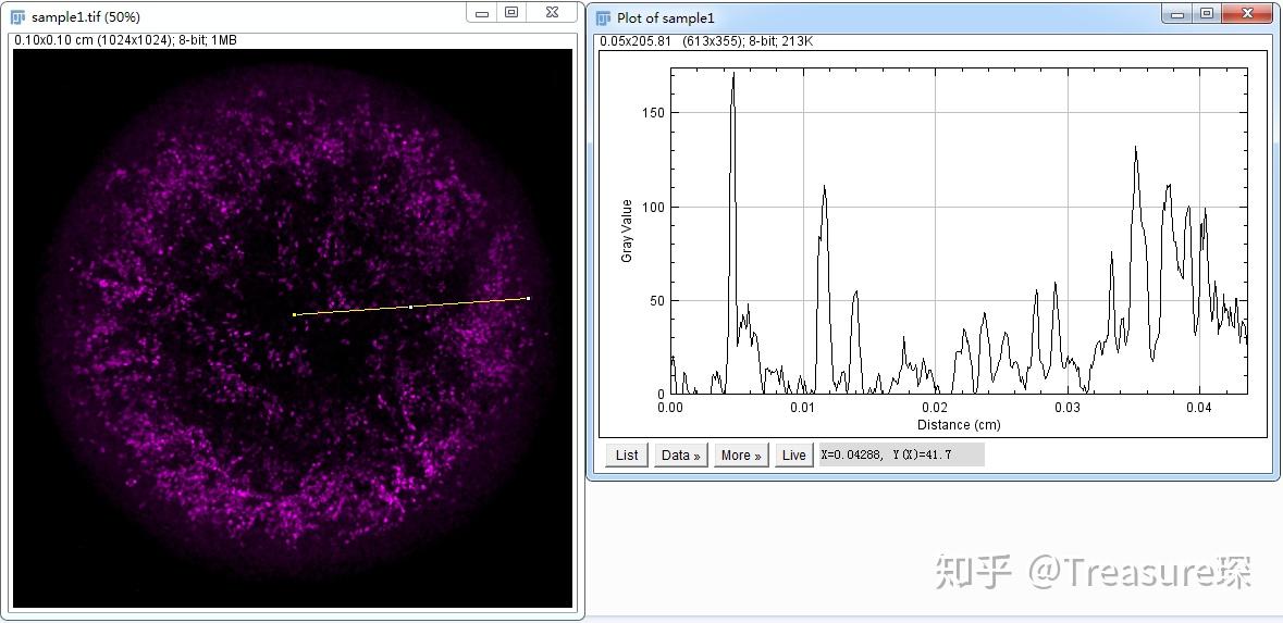 ImageJ实用技巧——径向荧光平均值检测(定量分析篇) 知乎