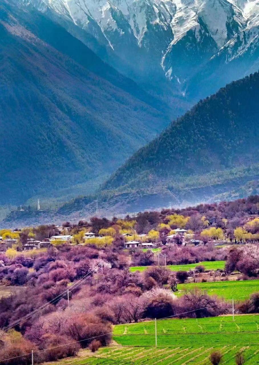 林芝旅游最佳季节图片