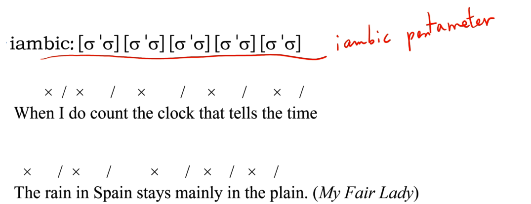 有一些语言有重音节和轻音节之分:重音节往往是以辅音结尾,或者有长