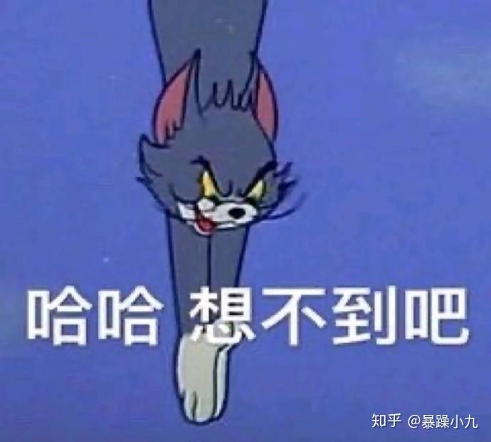 找宠物文案沙雕,找宠物文案沙雕搞笑