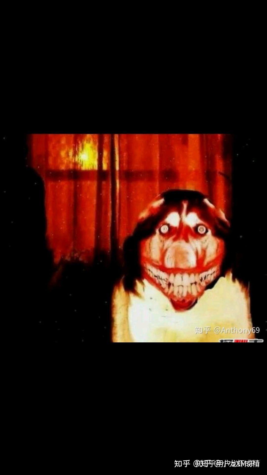 被微笑狗吓到了,怎么办?