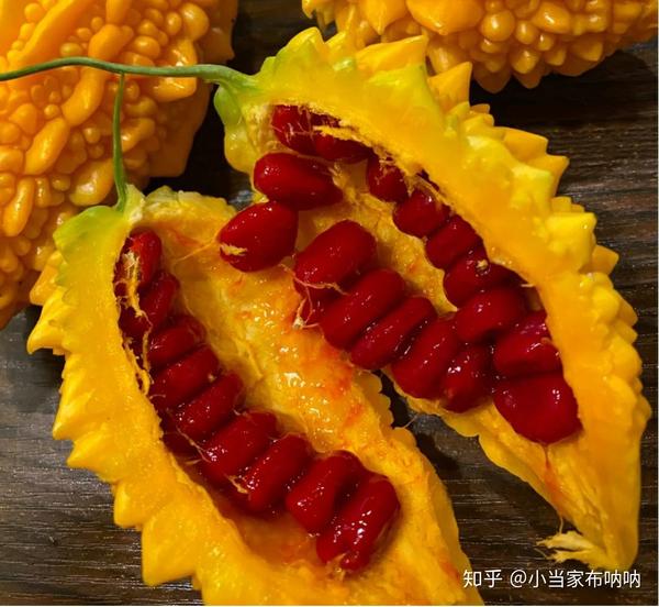 "金铃子炒虾仁"