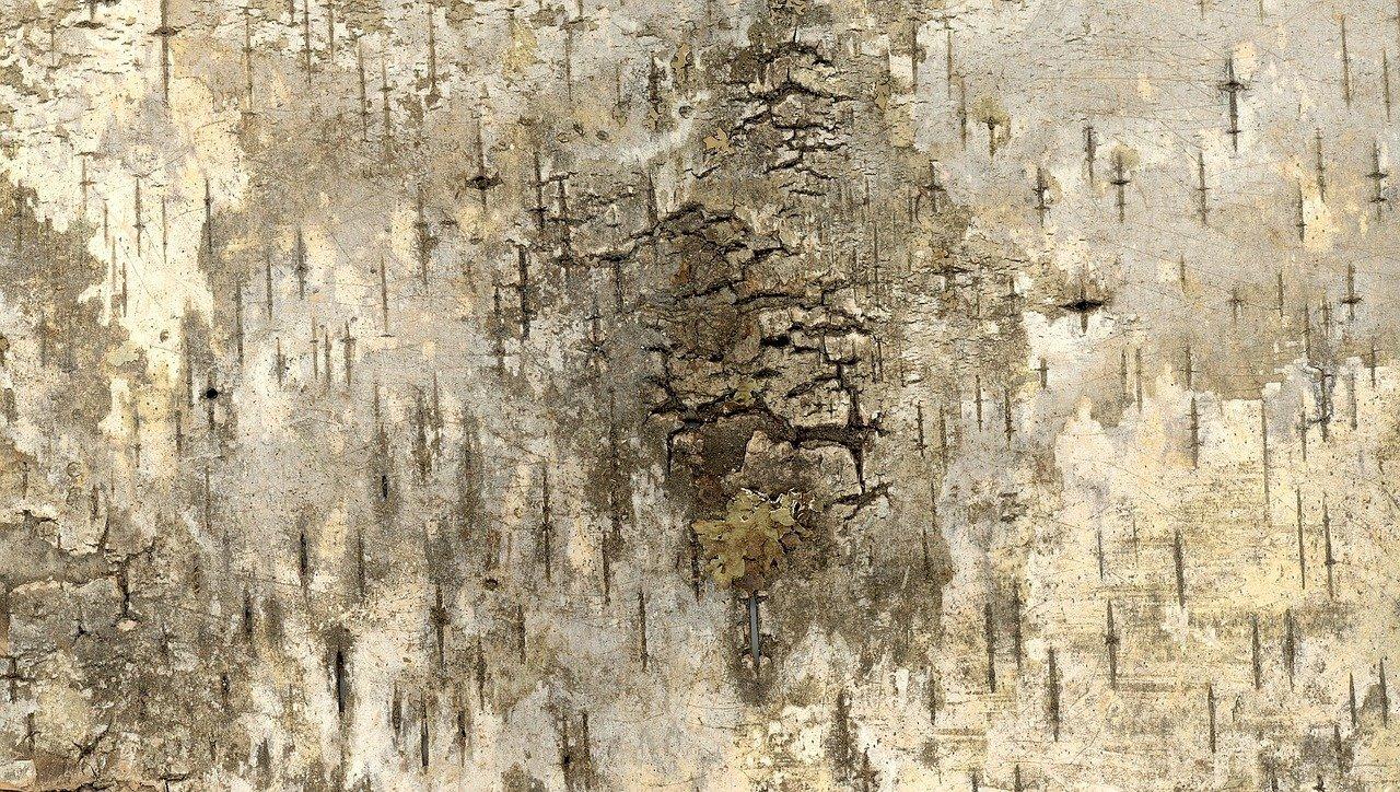 3. 安全去皮方法