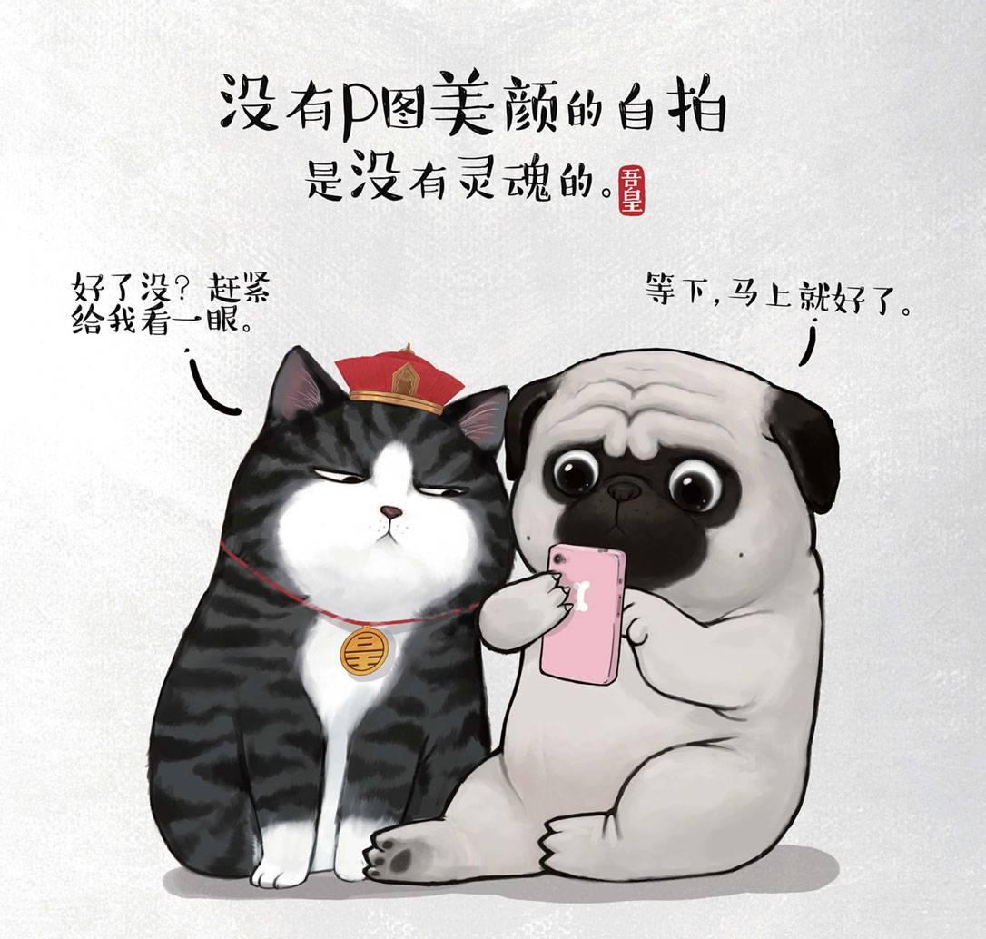 《就喜欢你看不惯我又干不掉我的样子》——头像壁纸分享 - 知乎