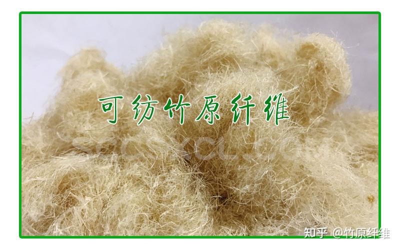 竹纤维助力中国竹产业创新发展