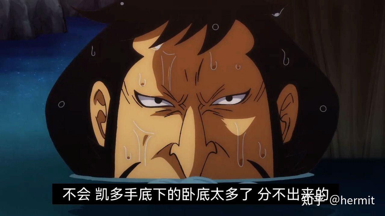 如何评价《海贼王》动画第 989 集? - 知乎