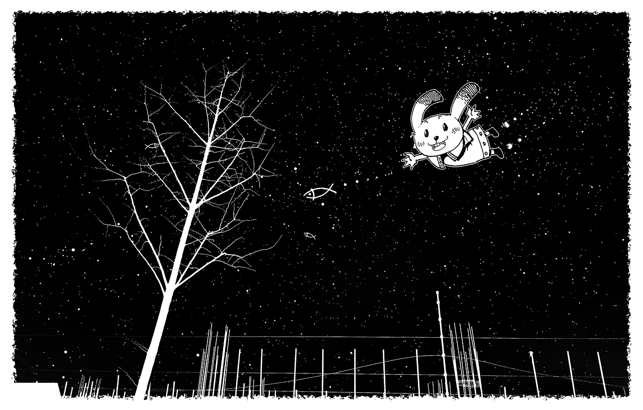 夜晚的奇妙冒险