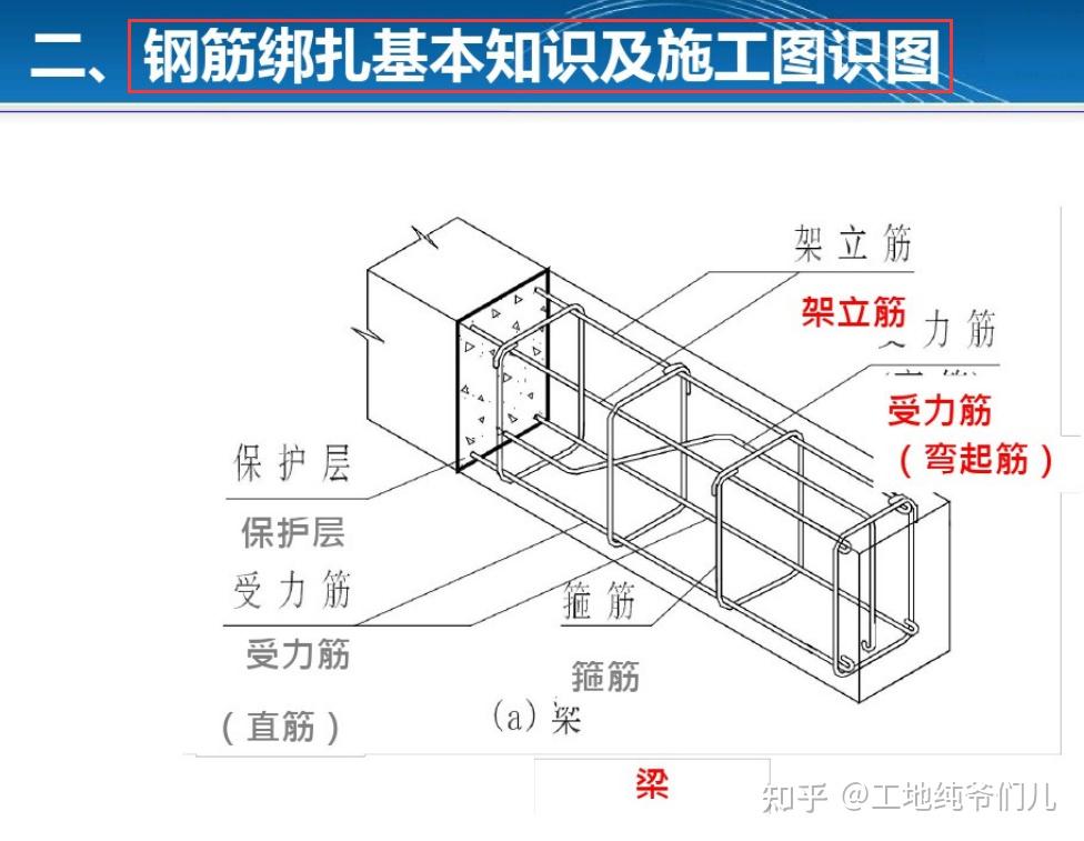 钢筋骨架及钢筋详图图片