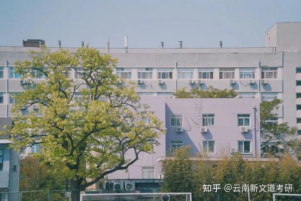 绵阳师范学院去年录取分数线_绵阳学院师范学院分数线_2023年绵阳师范学院录取分数线(2023-2024各专业最低录取分数线)