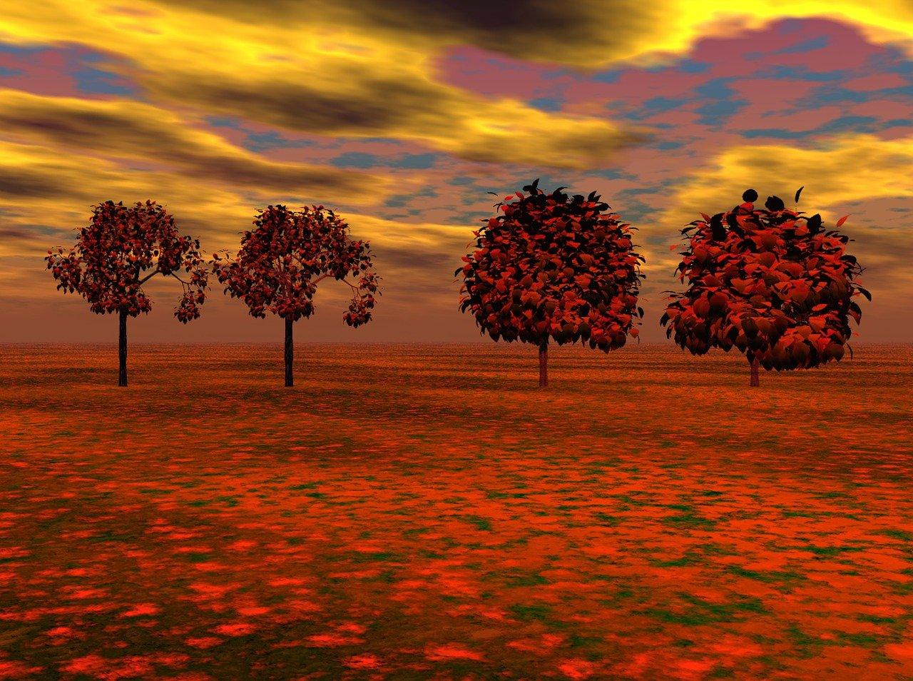 4. 楠树木材特点