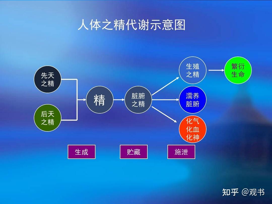 学习笔记:梳理中医基础理论的脉络(四)精、气、血、津液 - 知乎