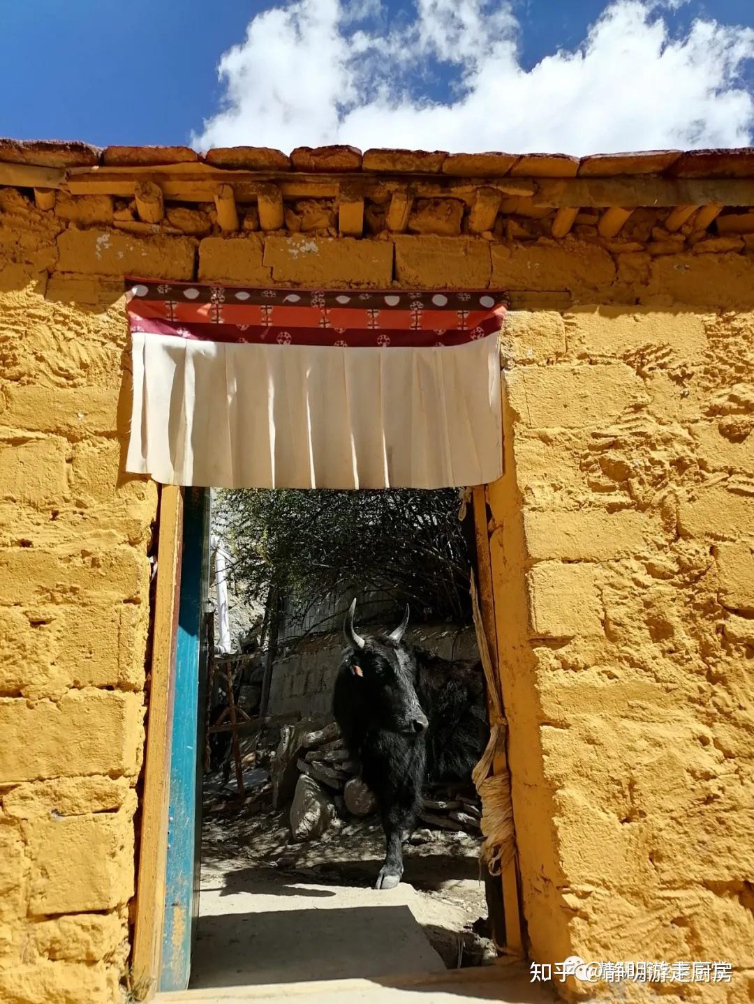 冈仁波齐朝圣记之三青朴