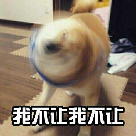 v2-23c462ed1c53c2e6d7f8ee932b135d88_r.jpg