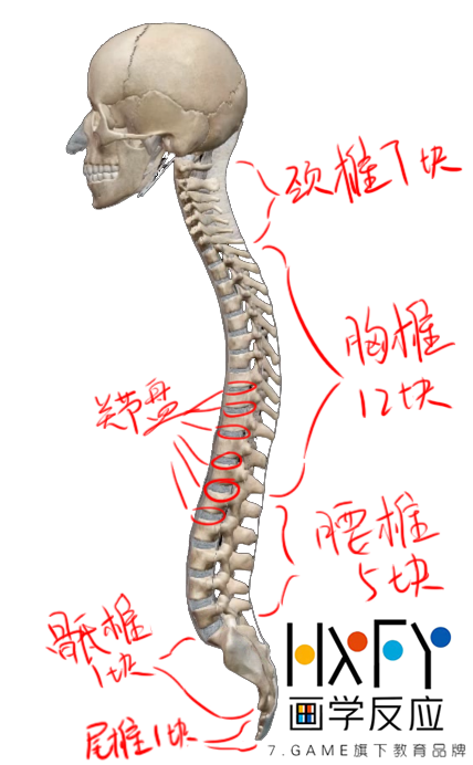 v2-23caaa9acd4909a73ac8e0488d0faf34_r.jpg