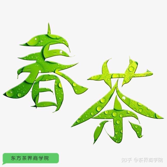 2021年春天春茶喝茶的14个好处