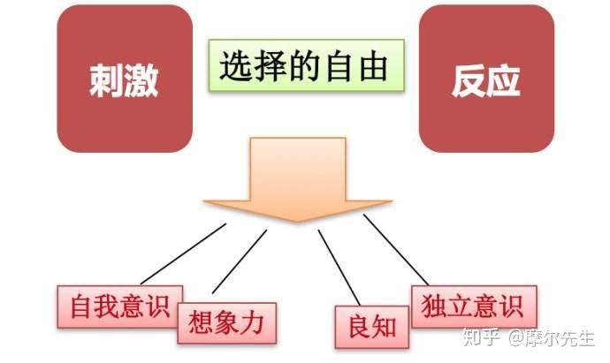 高效能人士的七个习惯(一)—积极主动 - 知乎
