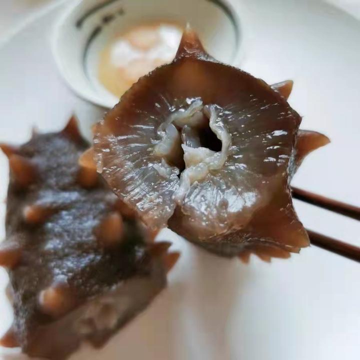 底播海参营养价值高,受消费者看重 - 知乎