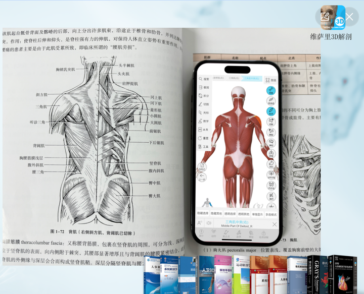 医学生3D解剖软件首选指南：维萨里3D解剖APP助力小白成为系统解剖大神 - 知乎