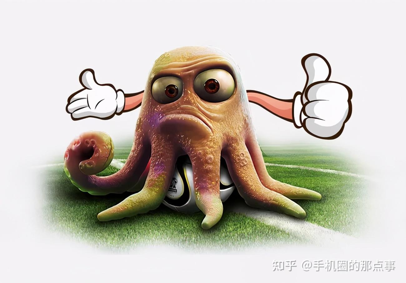 如果当初的章鱼保罗没有退役该多好.