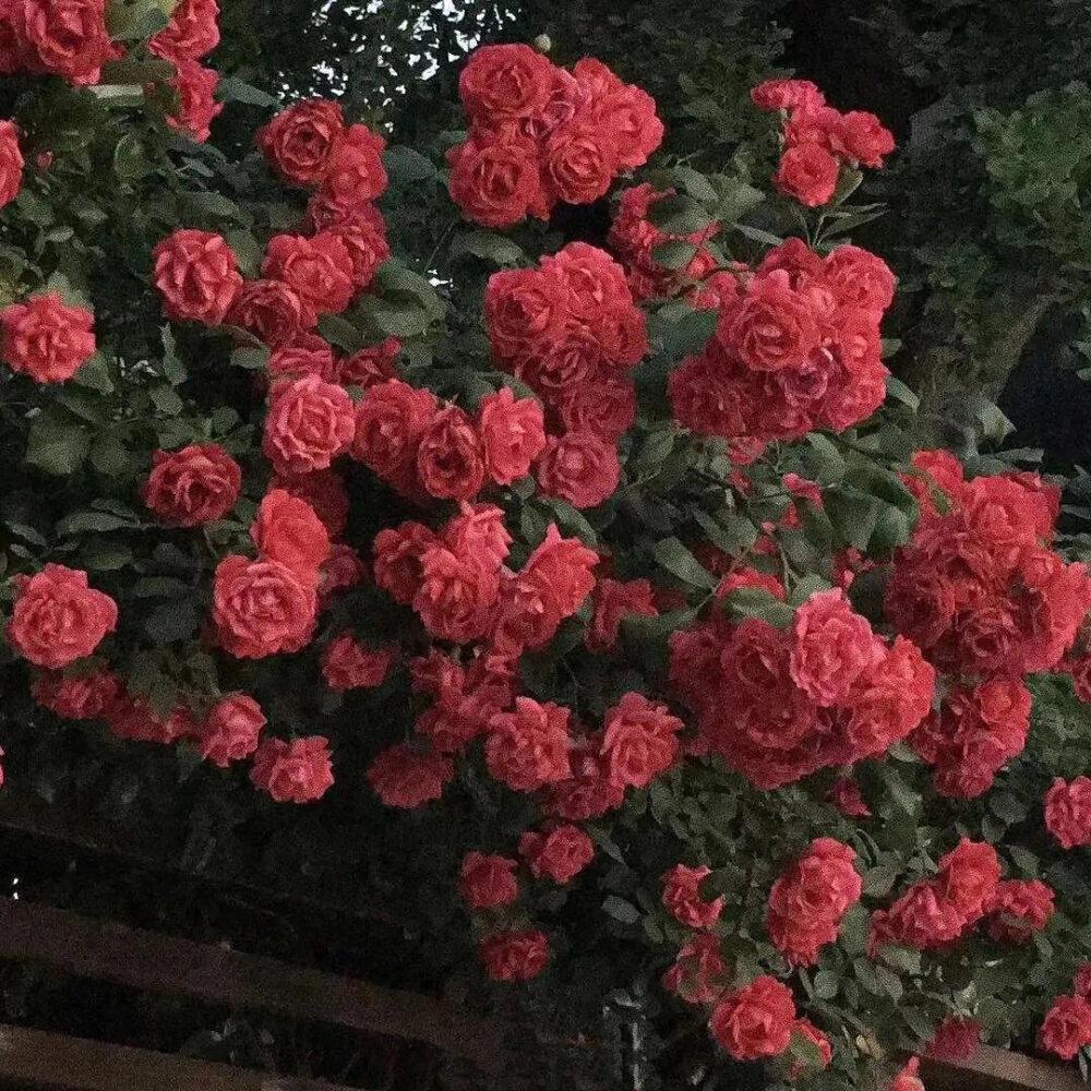 可以分享几张你喜欢的背景图吗? - 知乎