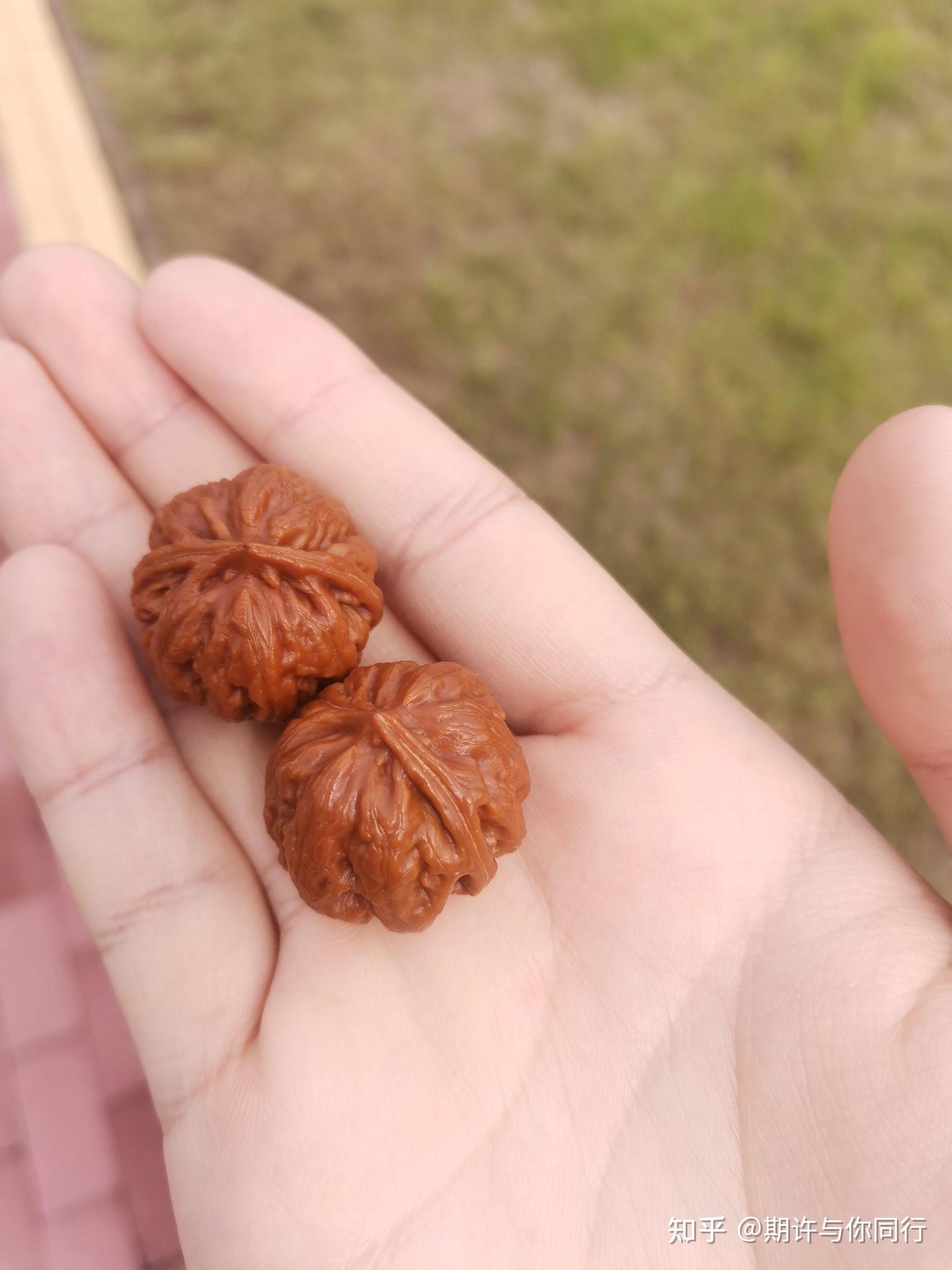 聊聊葫芦和核桃 - 知乎