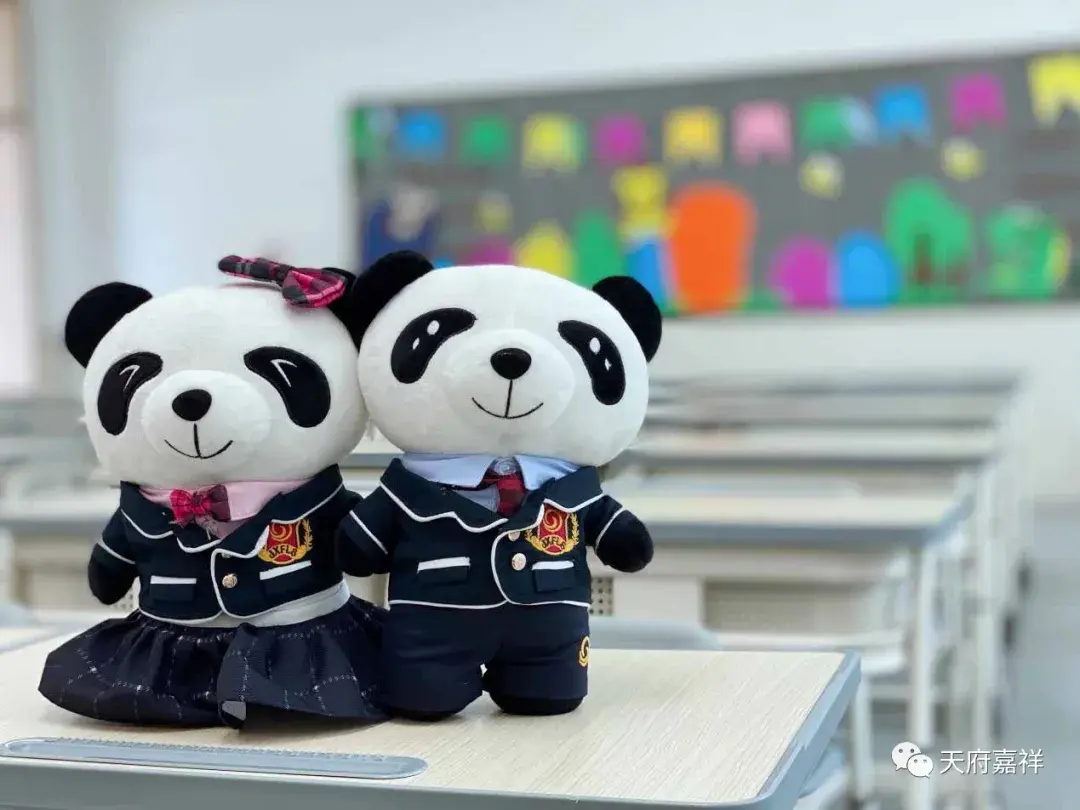 熊猫带你探新嘉天府嘉祥校园情况展示