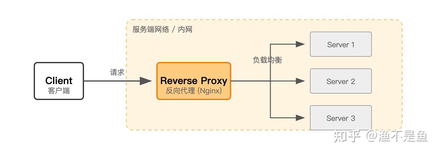 3分钟彻底搞懂：正向代理与反向代理 - 知乎