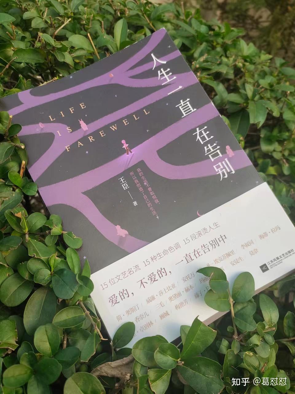 一部感人至深的医疗纪实