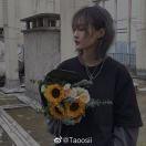 海德堡印刷机胶辊国产替代怎么问供应商?