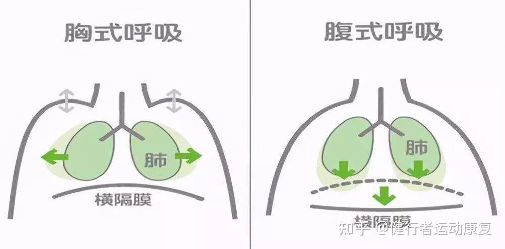 胸式呼吸和腹式呼吸有什麼區別教你改善呼吸神清氣爽