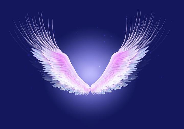 呵护"天使的翅膀"